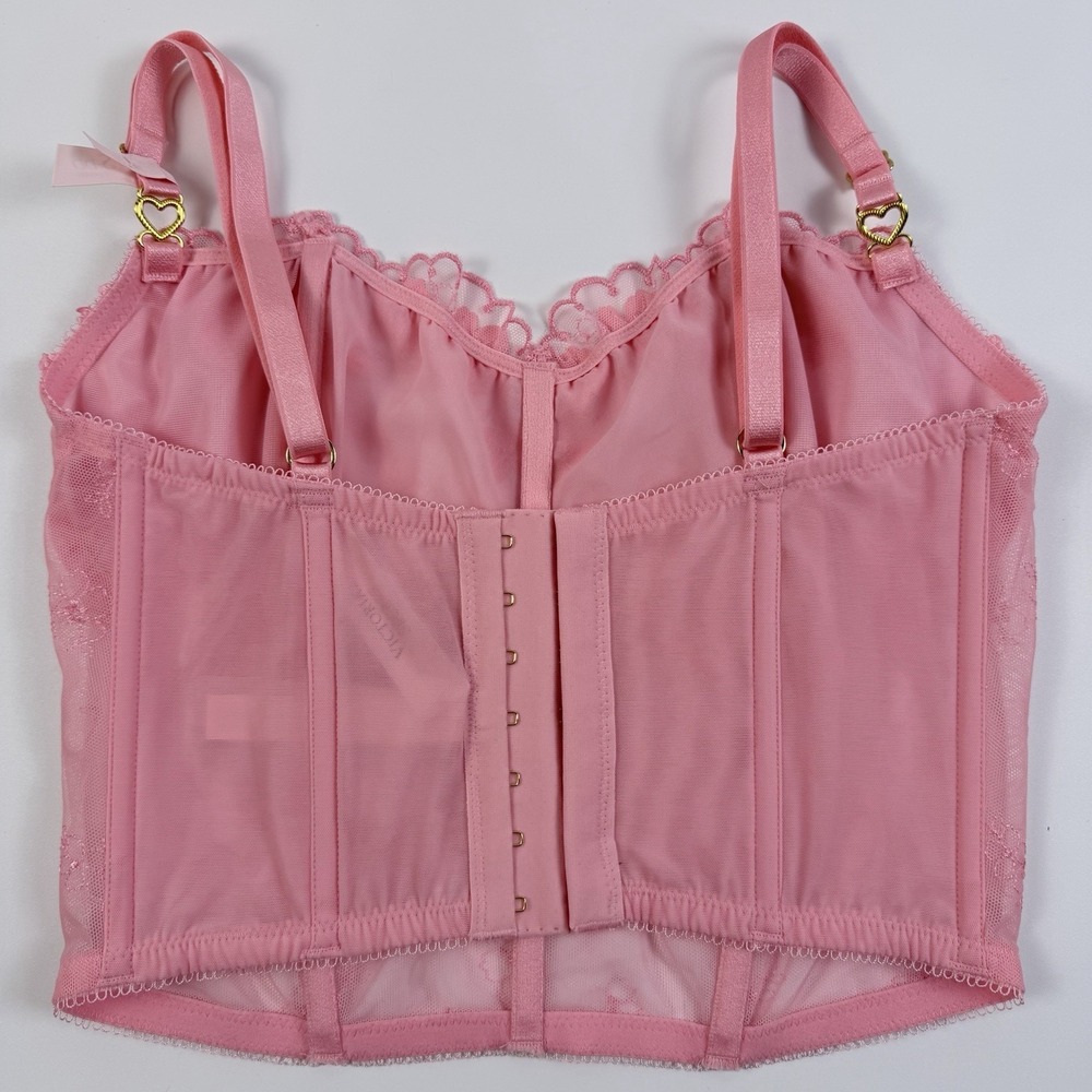 Victoria's Secret Dream Angels Pretty Petals Sheer Corset Cami Pink S-DD NWT - Picture 2 of 7